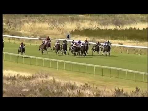 2017.01.28 Cape Flying Championship (RSA) - Carry on Alice