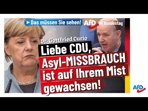 Dr. Gottfried Curio zerlegt Merkel-Asylpolitik