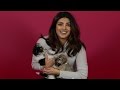 We Surprised Priyanka Chopra With Puppies And Then She Adopted One