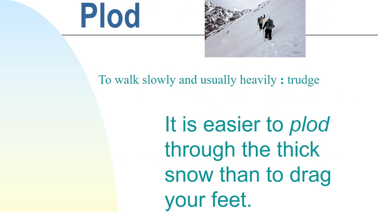 unit 5 vocab -voice over