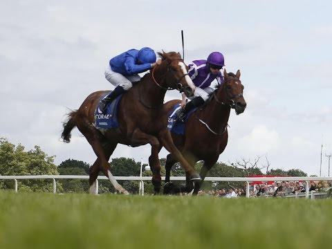 Sussex Stakes 3.10 Glorious Goodwood WINNER!!! 2/1 The Gurkha...Selection...