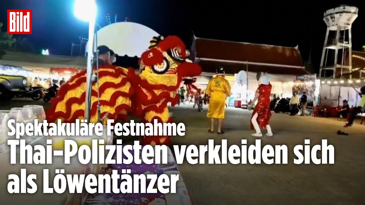 LÖWENTANZ-FALLE: Thailändische Polizei schnappt Einbrecher bei Neujahrsfeier