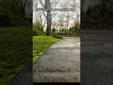 Heroic Dose Mushroom Simulation 🍄 #shorts