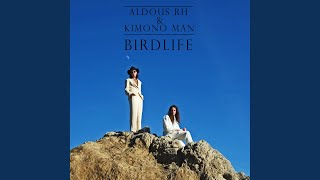 Aldous Rh - Birdlife video