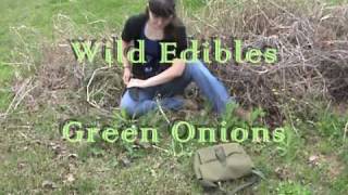 Wild Edibles: Identifying Wild Onions