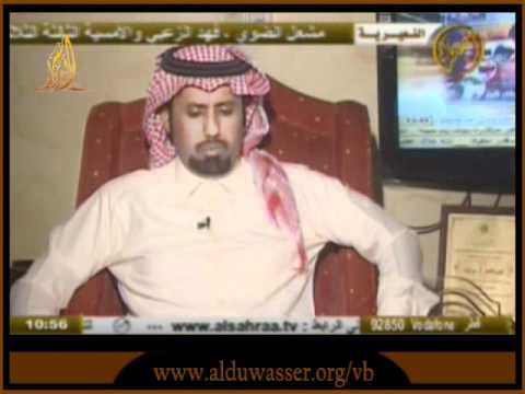 img-video