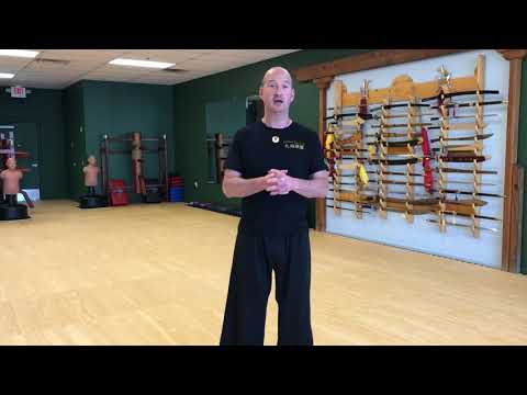 24 Yang Tai Chi Poem 22-Wipe Off, Draw Down and Push