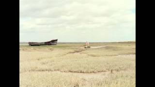 THROWS - Punch Drunk Sober