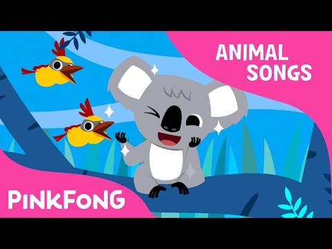 Koala Lalala | Koala | Animal Songs | Pinkfong Songs for Children