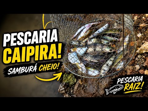 Pescaria caipira incrível!!! Lambari, piau e mandi. Frito garantido.