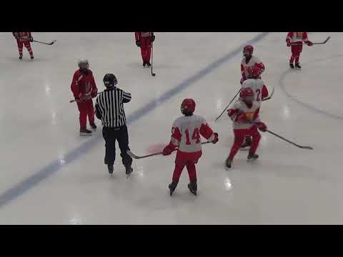 Match 5 IFK Tumba 07 Röd - Skövde IK (3-2) 190106 Nordic trophy)