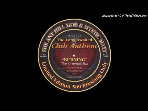 The Anthill Mob & Mystic Matt  - Burning (The Original Mix)