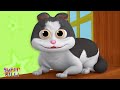Meow Meow Billi Karti म्याऊं म्याऊं बिल्ली करती Upar Pan