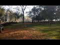 Indira Park Morning View Best Tourist Spot With Its Natural Tress Hyderabad India