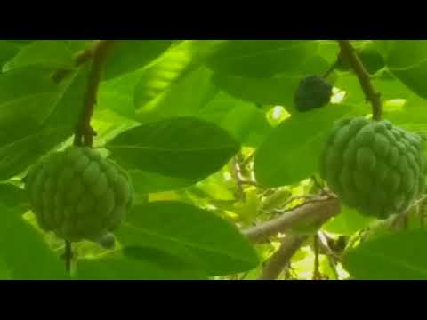 SAHASRA  CREATIONS..