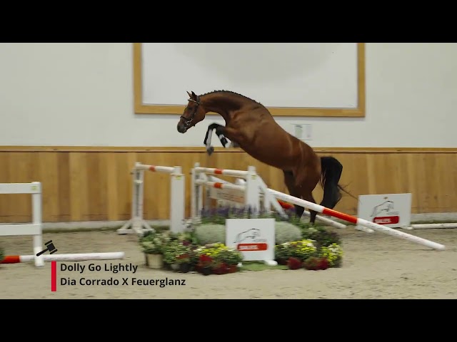 Dolly Go Lightly