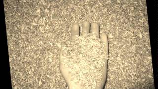 Salgari - Rossana Casale