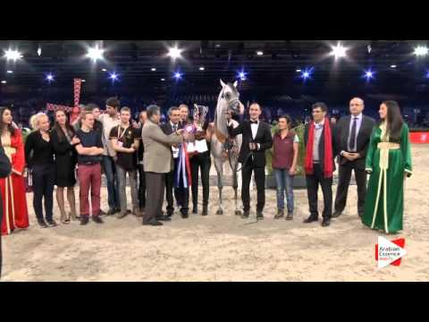 3rd place-N.118 E.S. HARIR - Paris 2015 - Senior Stallions Championship (Class CM12)