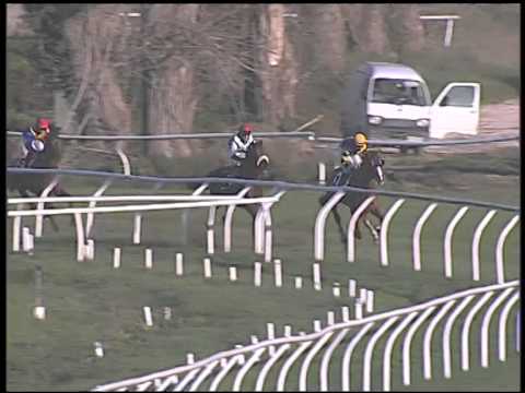 Galoppo 21/12/2014 - 2° corsa