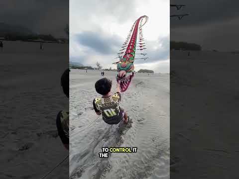 This Kite Is So Big, It Can Lift a Man 😯