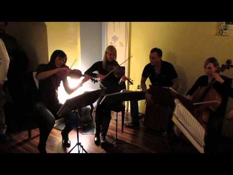 STRING QUARTET POP ROCK COVERS -Material girl-Wonder Strings Quartet