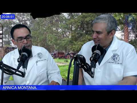 Árnica  Montana medicamento homeopáticos