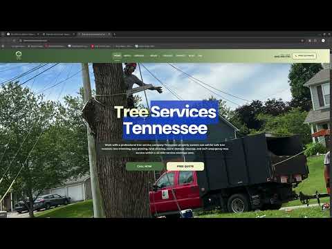 Tree Service Dener Vasquez audit