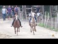 DESAFIO: Granada vs Baio de Mundo Novo - Corrida de cavalos