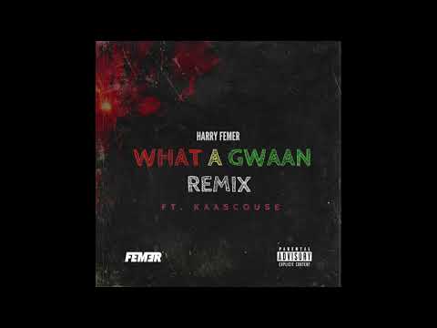 Harry Femer - What A Gwaan (Remix) ft. Kaascouse