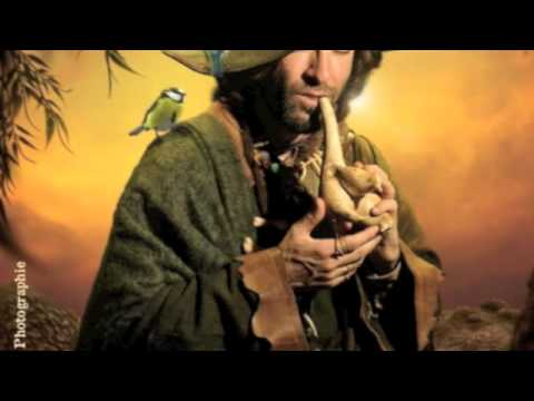 Maxence des Oiseaux Chanson