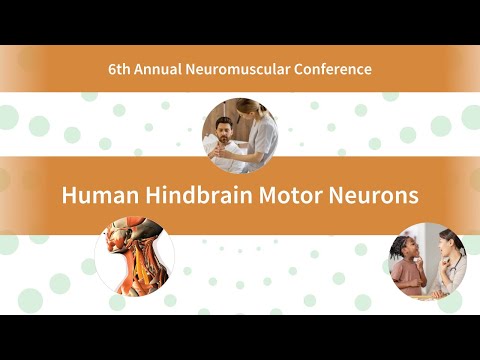 Generating Human Hindbrain Motor Neurons | 2025 Stanford ...