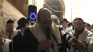 הגר