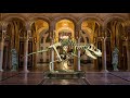 Magical Museum Of Ancient History ASMR Ambience