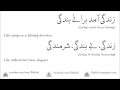 Tu Kareemi Mun Kamina   Nusrat Fateh Ali Khan Rumi Lyrics 640x360