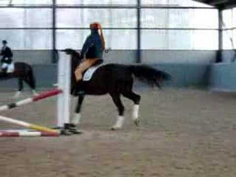 Goethe - Hengstschau Aachen 2007