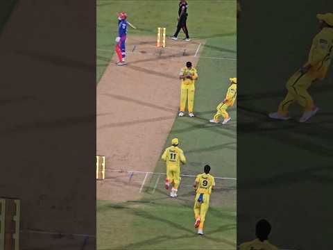 Reel tagged #cricket
