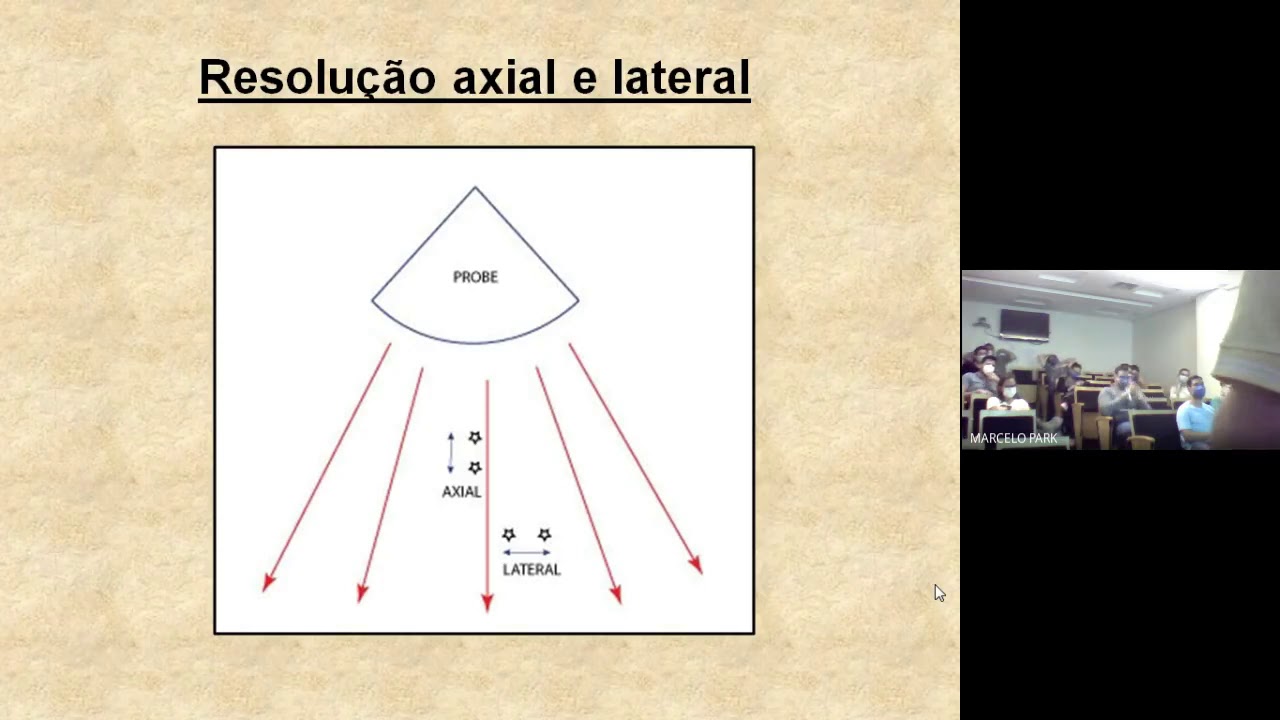 Princípios básicos da ultrassonografia