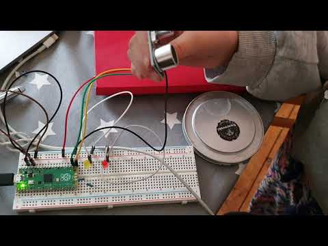 Raspberry Pi Pico - uds parking sensor example