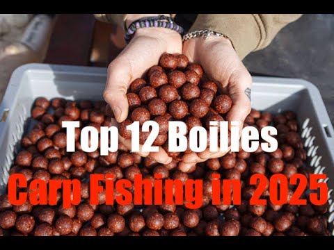 Top 12 Boilies Carp Fishing in 2025