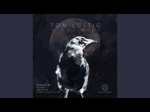 Night Bird (Original Mix)