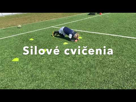 BUD SVOJIM TRÉNEROM 6   ( U10,U11 )