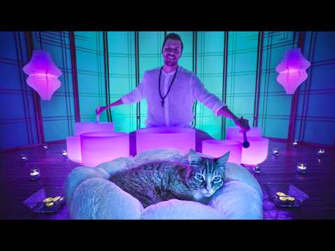 Healing Cat's Purr Sound Bath - Crystal Singing Bowls with Gentle Cat Purring 🐈