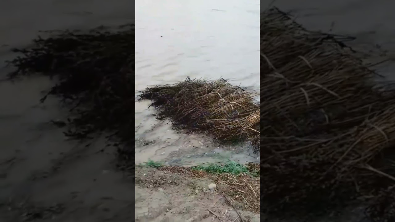 Massive Floods Destroy Everything 😱 | Nature’s Fury Unleashed #Disaster #trending #floods #HeavyRain