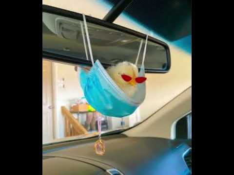 KIMYO/PICCOLISPARI/LILKVNEKI - PLUGGANDO PICCOLI SPARI