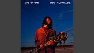 Tears For Fears - Break It Down Again (Remastered) [Audio HQ]
