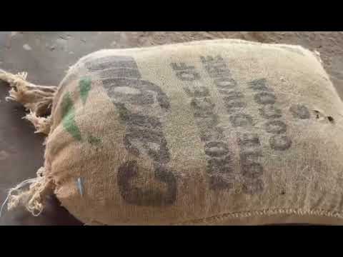 Saisie de plusieurs sacs de cacao dans des conteneurs par des agents des douanes au PAA