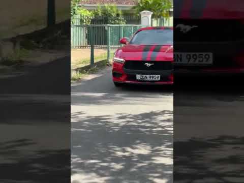 New Mustang in Sri Lanka💀💥#mustang #ford #hypercar #cars