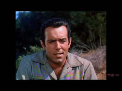 Adam i Regina Love is madness