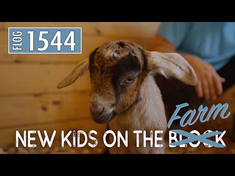 Thumbnail for New kids on the farm... by Jimmy Fortune, Head, The Format, VAST, Frida, The Who, Concert