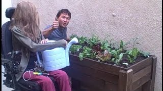 Accessible Wheelchair Elevated Raised Bed Container Garden from Start to Finish